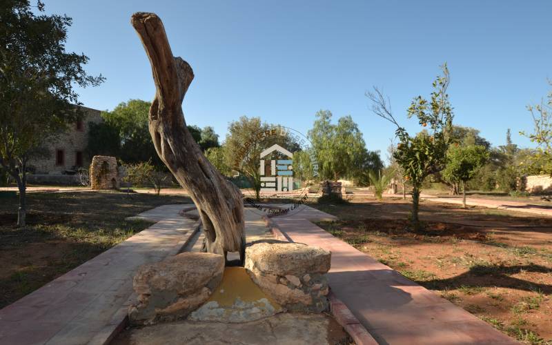 Camping-Caravaning (12)